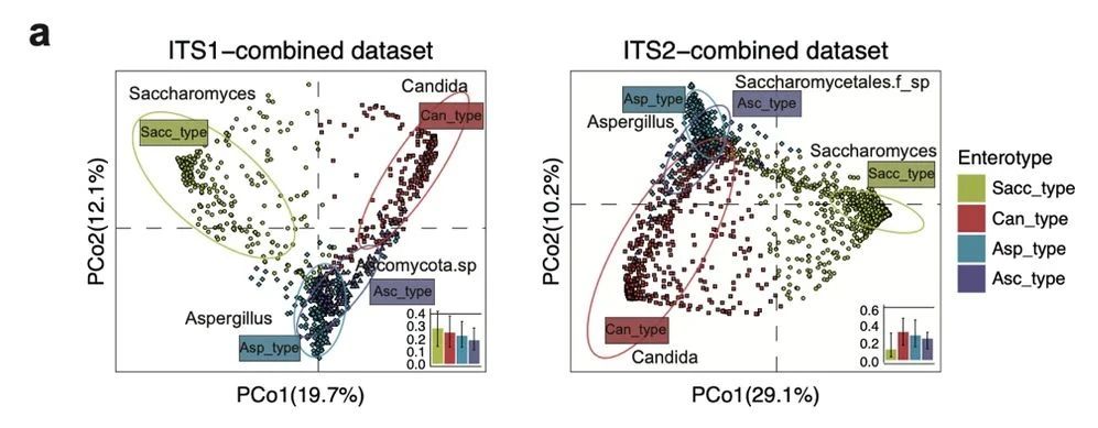 1692684434460089.jpg 3.jpg